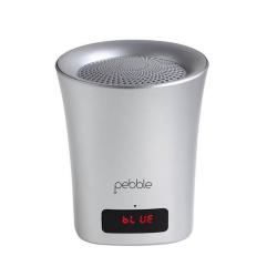 Pebble Sync - Wireless Portable Bluetooth Speaker With Microphone / USB / FM / SD Card Reader / AUX IN (Silver)  